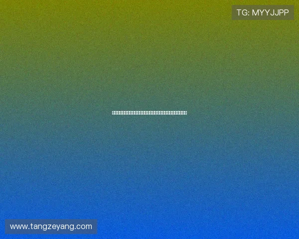 以贝尔纳多席尔瓦为核心解析他的战术智慧与球队攻防转化关键作用