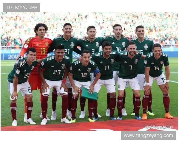 全球足球联赛发展趋势与未来前景分析:聚焦各大联赛竞争态势及变革潜力 全球足球联赛发展趋势与未来前景分析:聚焦各大联赛竞争态势及变革潜力