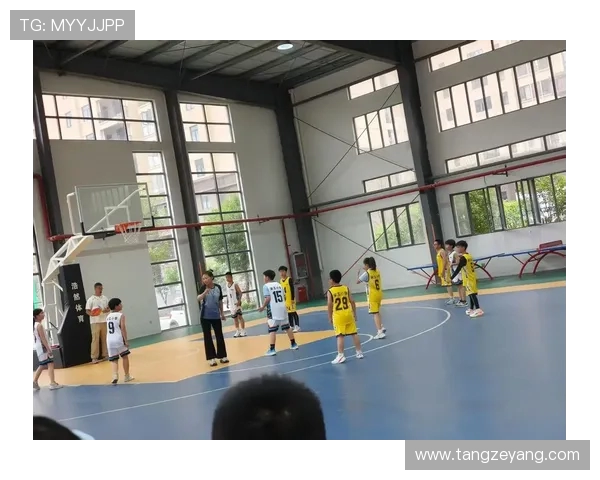 以篮球为核心探讨团队协作与个人竞技精神的完美融合