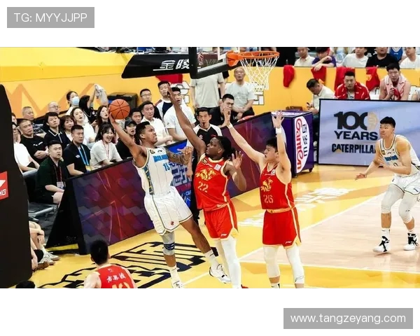 浙江广厦新赛季阵容全面升级冲击总冠军展现球队雄心与实力新篇章