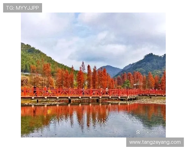 浙江广厦周边优美风光与丰富文化地标，旅游胜地值得探索