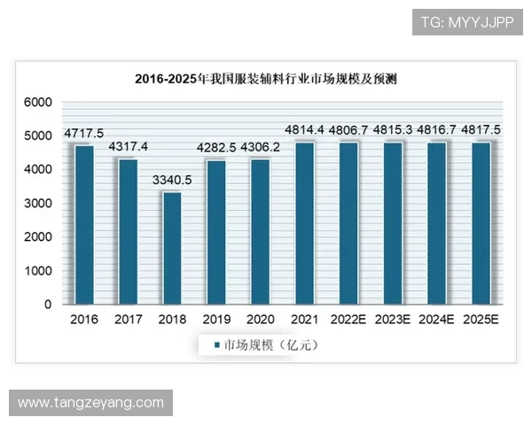 电竞职业联赛全方位发展路径分析与未来趋势展望 电竞职业联赛全方位发展路径分析与未来趋势展望