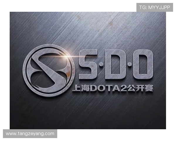DOTA2热议：深入分析WE战队的运营策略与发展历程