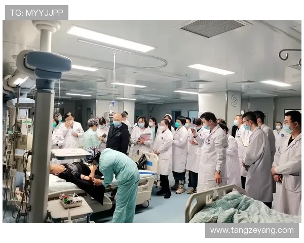 上海足球队在联合会杯中的团队协作表现分析与点评