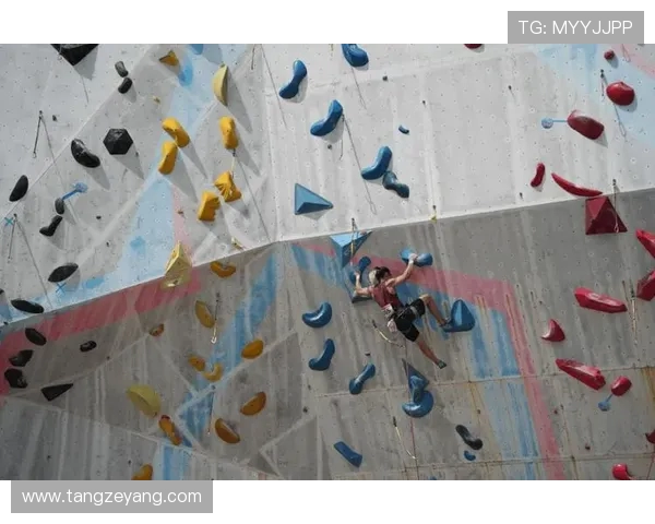 北京攀岩队在世界攀岩锦标赛中的默契配合与精彩表现分析 北京攀岩队在世界攀岩锦标赛中的默契配合与精彩表现分析