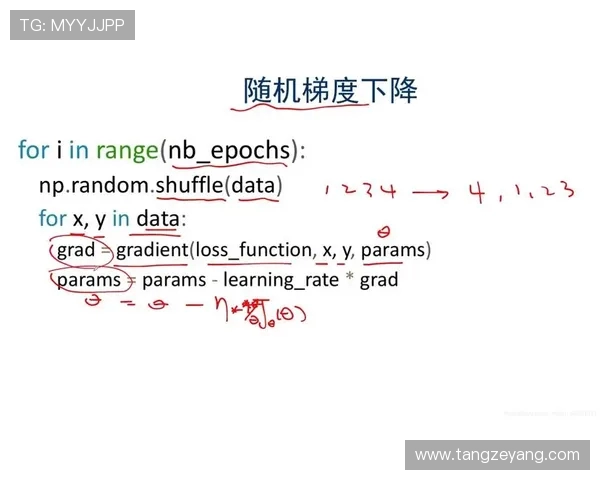 南京网球队运营分析：成功经验与面临挑战的深度探讨