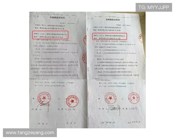 深圳羽毛球队实力提升背后的变革与挑战分析 深圳羽毛球队实力提升背后的变革与挑战分析