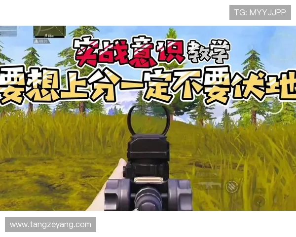 科学与和平精英的意识训练方法探索与实践指南