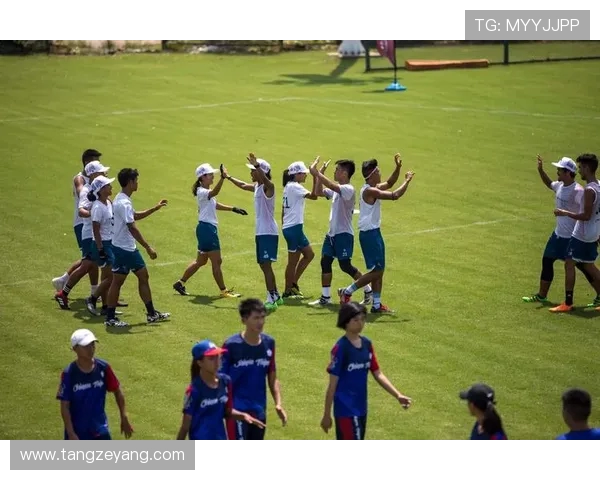 重庆飞盘队荣登全国飞盘技术排行榜首位引领飞盘运动新风潮