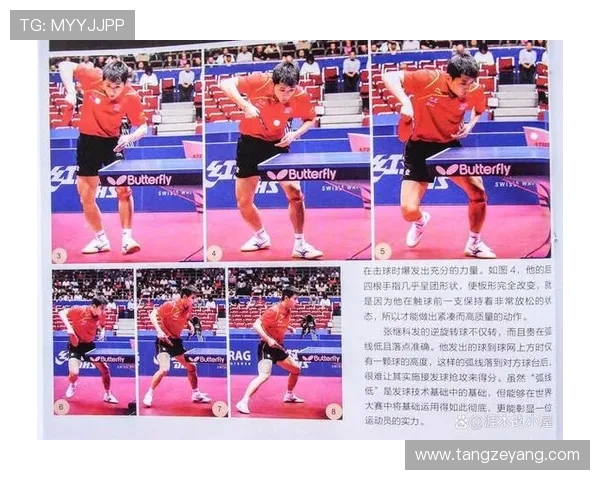 乒乓球技巧与战术解析：从基础到进阶全面提升你的比赛水平