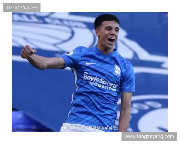 2019年伯明翰与米尔沃尔激战回顾双方精彩表现与赛季影响分析