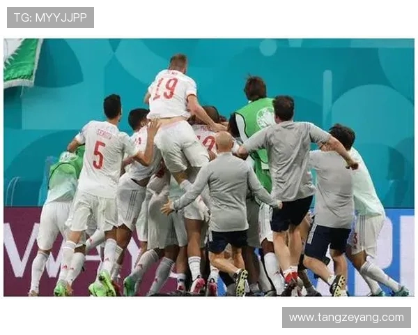 丹麦与法国白色球衣对决的精彩瞬间与战术分析