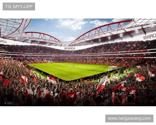 吉马雷斯主场迎战本菲卡争夺积分巅峰对决即将上演